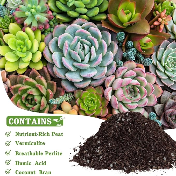 Halatool 6QT Natural Cactus Soil Garden Top Succulent Soil for Houseplants Bonsai Potting Mix Indoor Potting Soil for Aloe Vera Plant Flowers Vegetables & Herbs