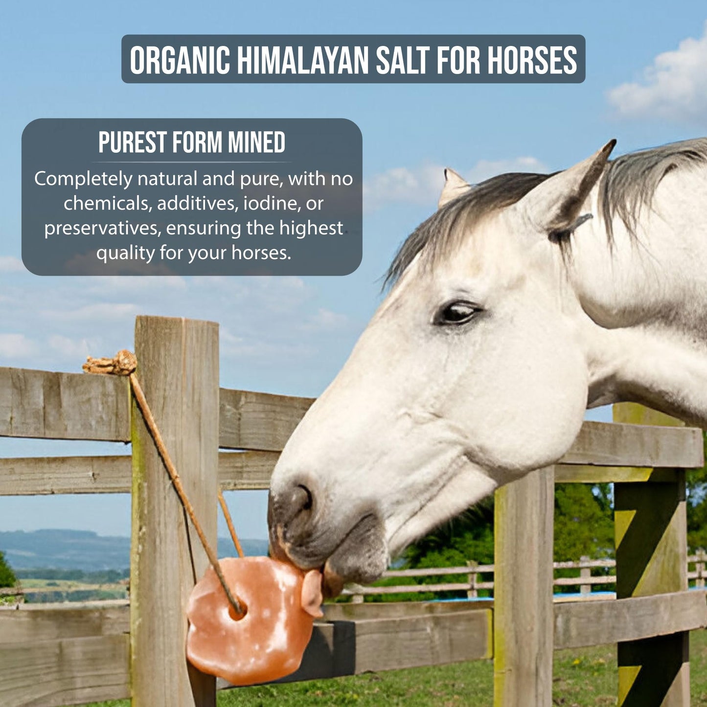 Animal Himalayan Salt Lick on Rope for Horses, Deer, Rabbits, Cows and Other Livestock | Lick Salt for Deer | Digestive Aid for Animals | Horse Treats (HORSE-6LB Pair)