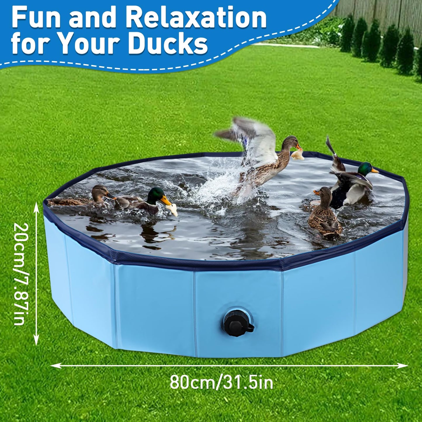 Hdnbsp Foldable Duck Pool, Portable Hard Plastic Duck Pond Tub, Collapsible Duck Pools for Pet Ducks, Dogs and Cats – Indoor & Outdoor Use, Hard Shell, Easy to Clean and Store