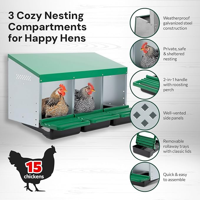 Classic Style 3 Compartment, Forward Rollout & Rollaway, Hen & Chicken Nesting Box with Integrated Perch and Protective Egg Laying Collection Lids
