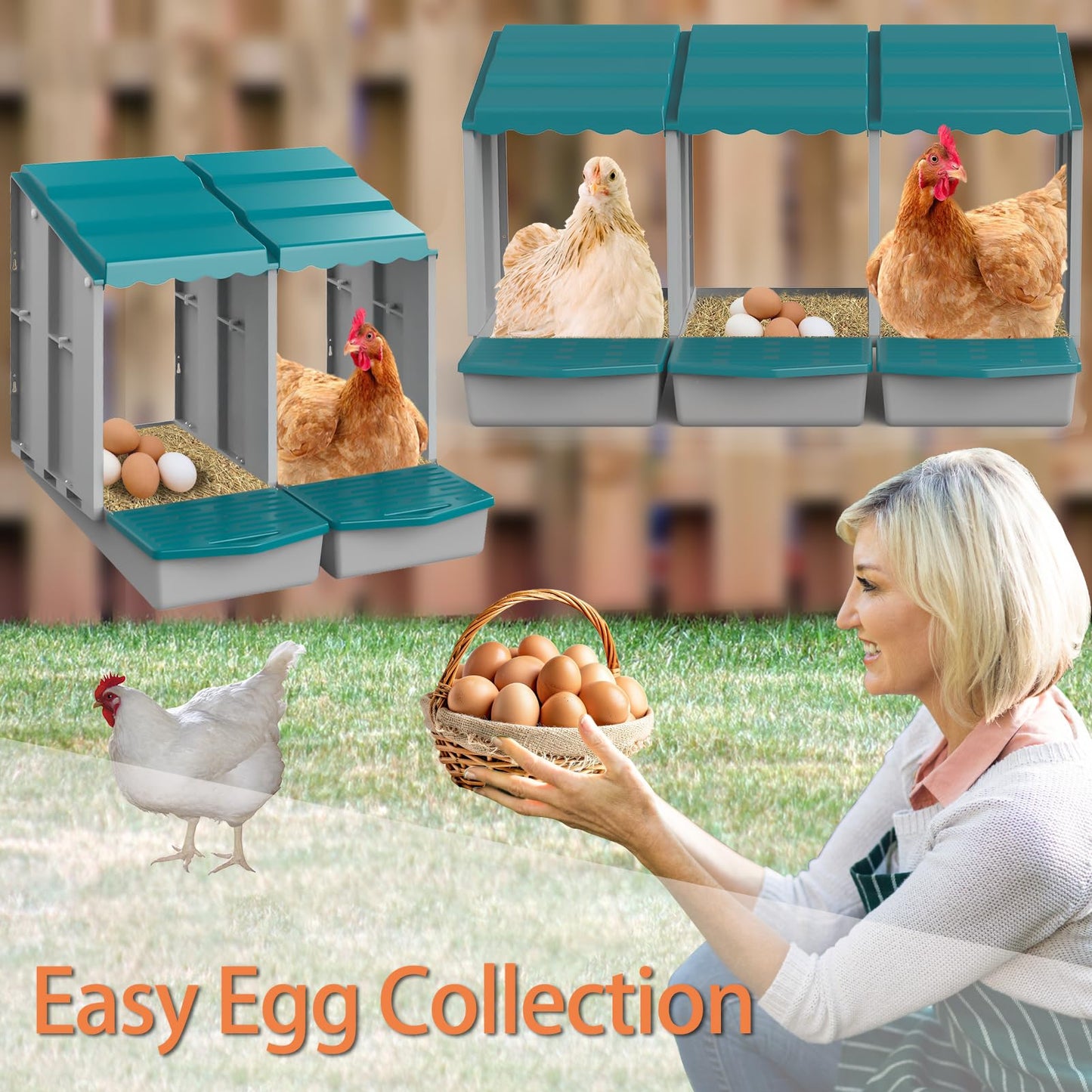 JELSVOP Nesting Boxes for Chickens, Chicken Nesting Boxes with Egg Collection & Perch for Easy Picking Protecting Eggs, Nesting Boxes for Laying Eggs with 6 Compartments