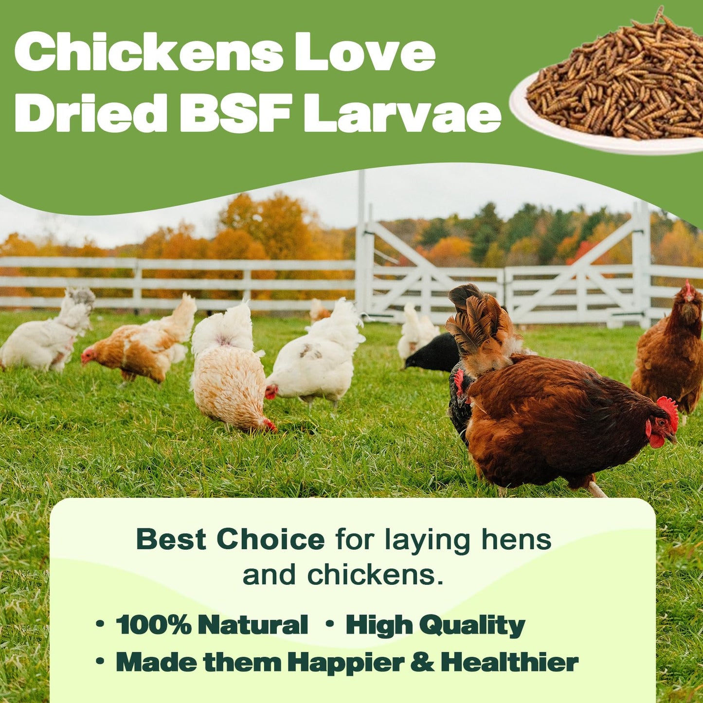 LIWII 10LB Dried Black Soldier Fly Larvae, 86X Calcium Than Dried Mealworms, High Protein Non-GMO Organic Chicken Feed