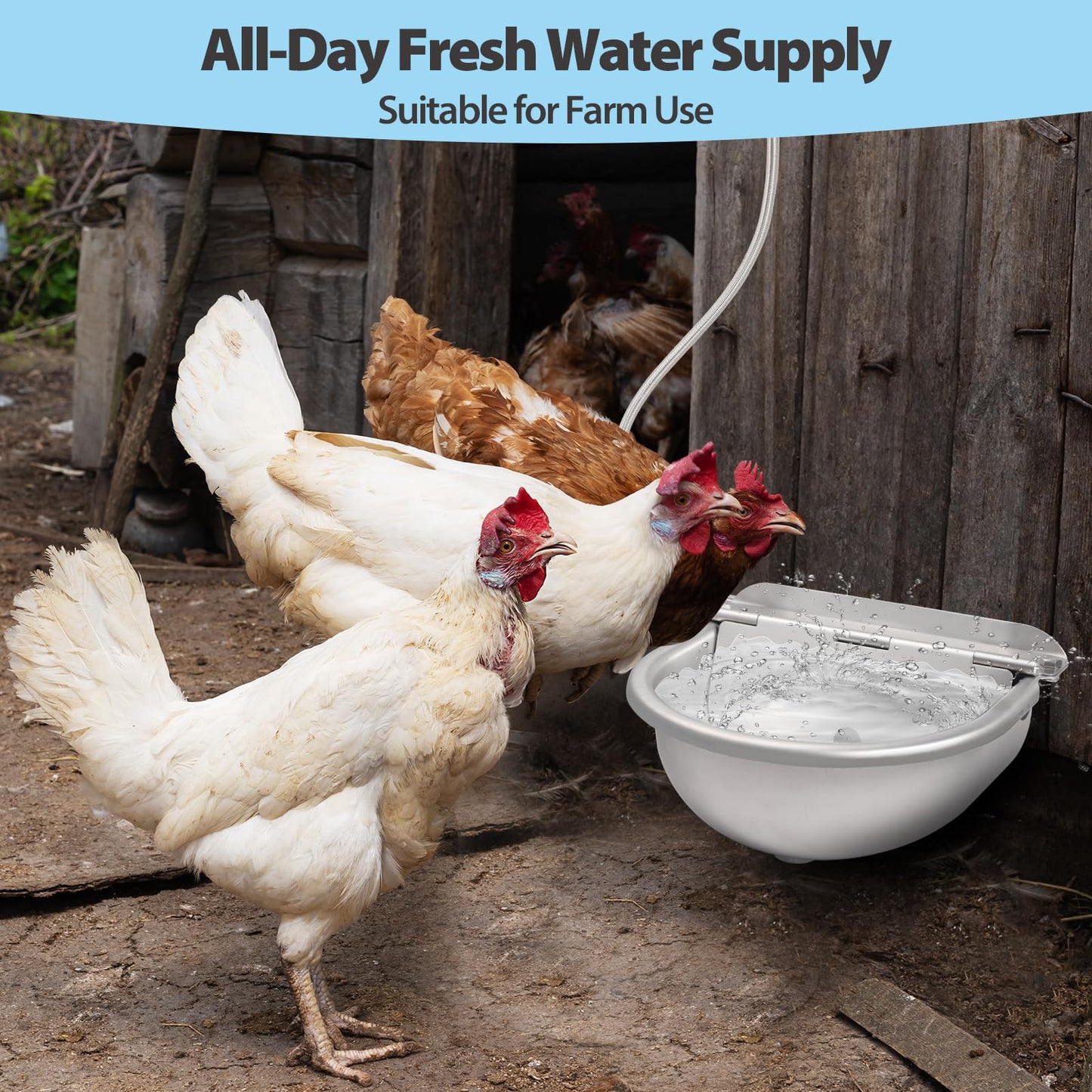 Automatic Water Dispenser for Chicken, 304 Stainless Steel Outdoor Auto Fill Waterer Bowl Self Refilling Watering System with 2 Float Valves and Drainage Hole for Chicken,Duck,Poultry