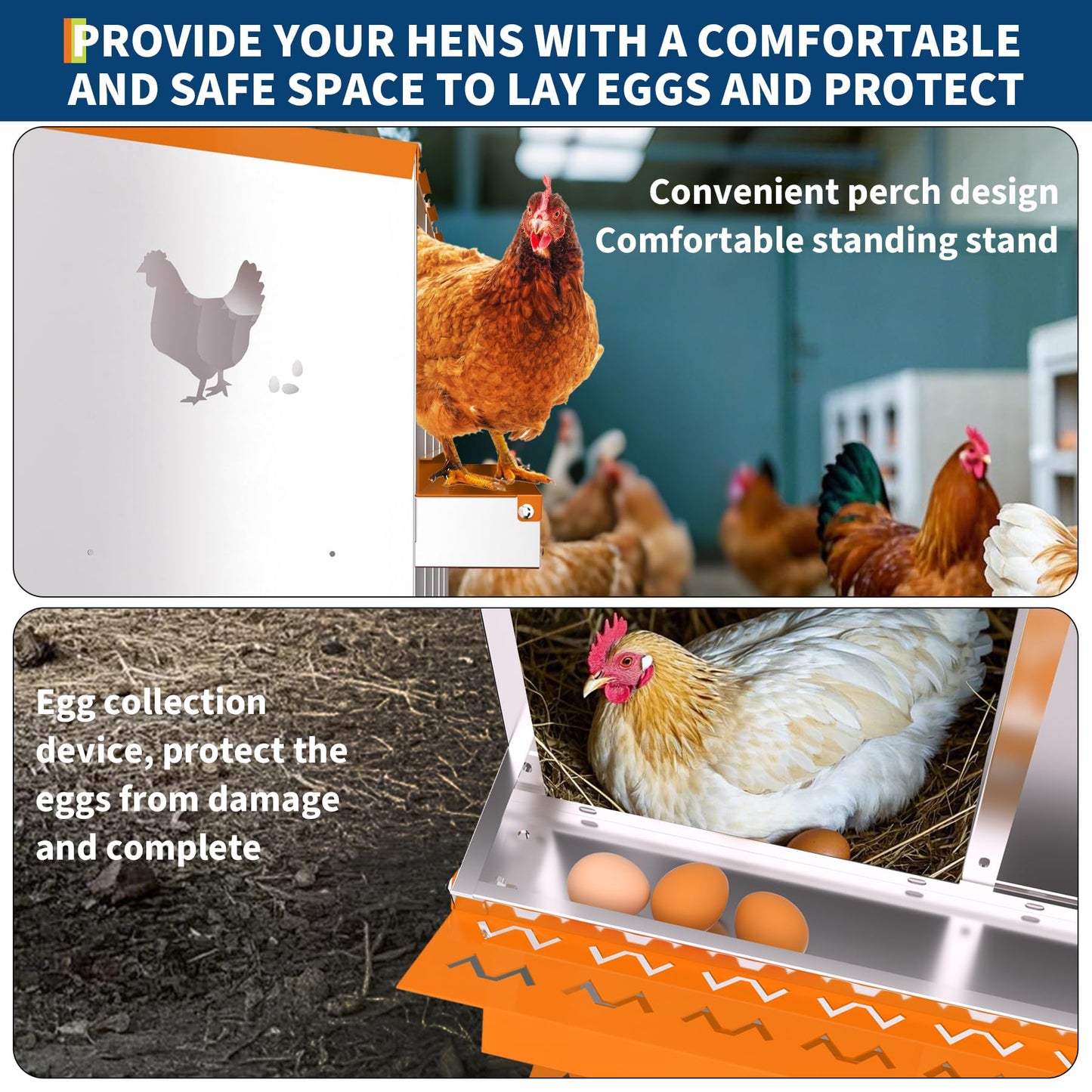 Chicken Nesting Box, 10 Compartment Galvanized Steel Chicken Laying Boxes, Nesting Boxes for Chickens, Easy Egg Collection for Chicken Coop, Backyard, Farms, Orange