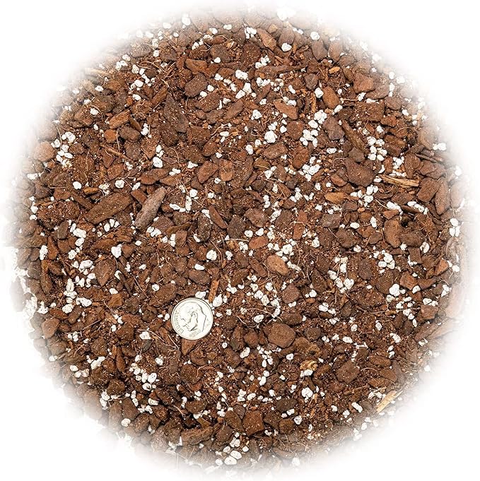 GARDENERA Expertly Formulated Monstera Obliqua Soil Mix - Strong and Healthy Roots by Gardenera - 2 Quart