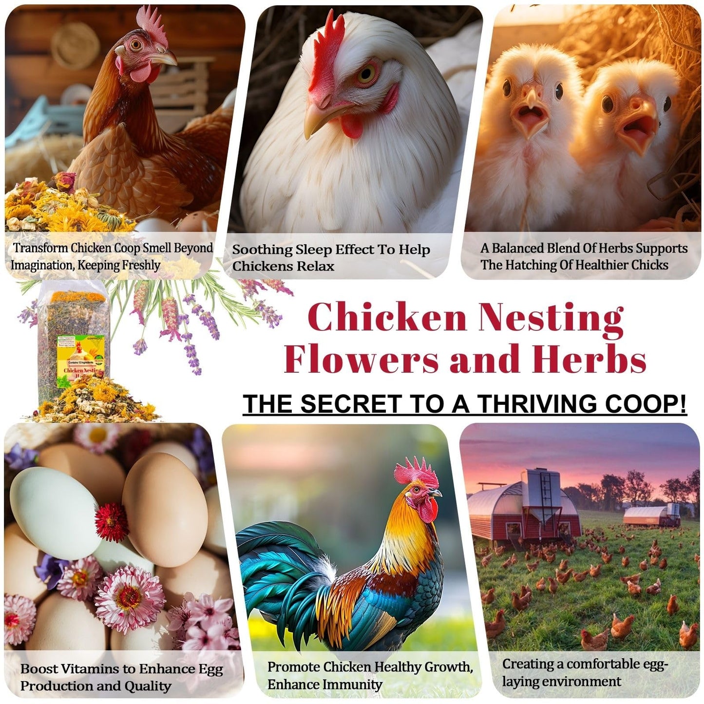 21 oz Chicken Nesting Herbs Flowers - 1.3lb Poultry Blend Herbs 12 Premium Nesting Box Herbs for Chicken Coop Refresher Boost Egg Laying Hens Herb Supplement for Backyard