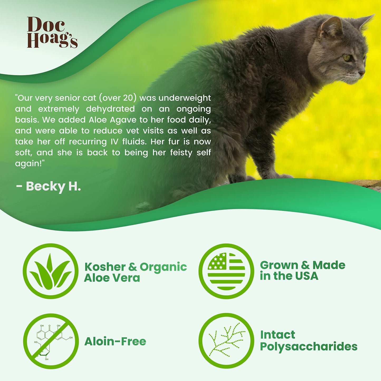 Doc Hoag’s Aloe Vera, Made in USA, Agave Natural Holistic Dog Supplement – Probiotic Digestive Support & Skin & Coat Hydration Formula, 16 Fl Oz