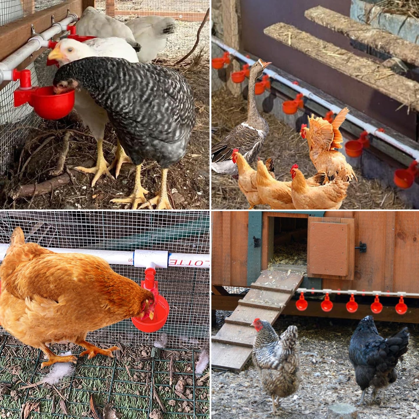 Automatic Chicken Waterer System Kit with Chicken Water Cups Nipples Float Valve Pipeline 58 PCS Complete Set Chicken Water Feeder Dispenser Large Chicken Watering System PVC Poultry Waterer Drinker