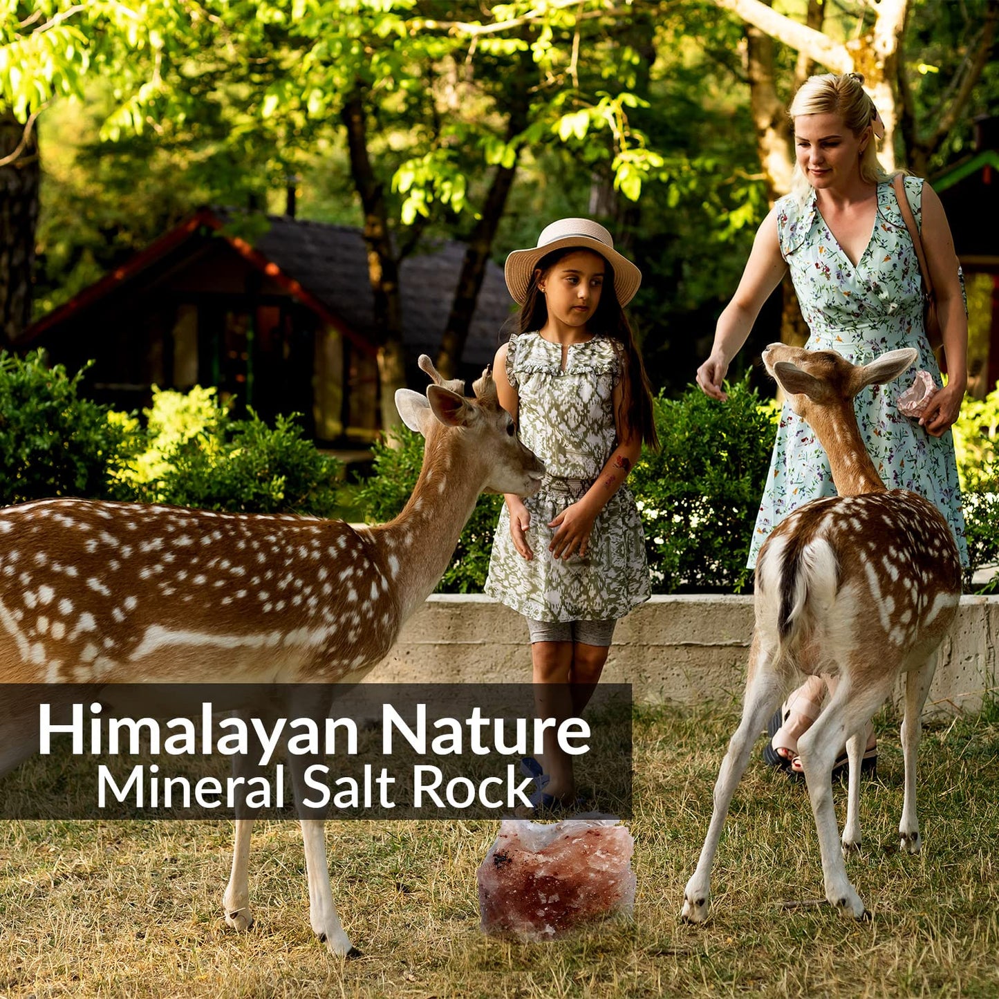 Himalayan Nature Animal Licking Pink Salt Rock Lick Deer, 5 Pound, Natural Mineral Block, Hand-Carved, Ideal for Wildlife, Hunting, Photography, Health