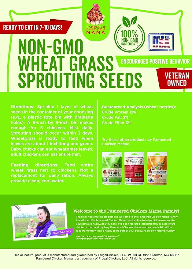 Pampered Chicken Mama Non-GMO Fodder Seeds for Chickens (3 pounds), Pasture Grass Seed, Wheat Grass Seeds for Growing, Wheat Seeds for Fodder