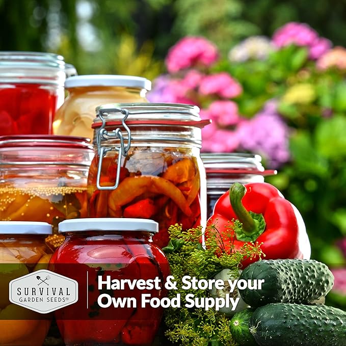 Home Garden Seeds 30 Pack – Heirloom Non-GMO Vegetable, Herb & Fruit Varieties | (18,500+) Survival Seed Vault for Food Security by Survival Garden Seeds
