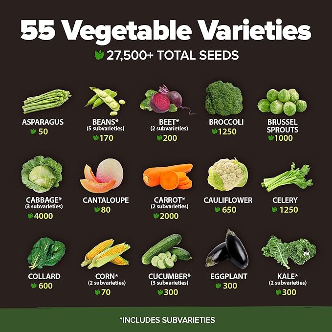 55 Vegetable Seeds & 15 Culinary Herb Seeds Pack – 32,500+ USA Non-GMO Heirloom Seeds for Planting – Survival Garden Kit for Preppers – Gifts for Gardeners Men Women