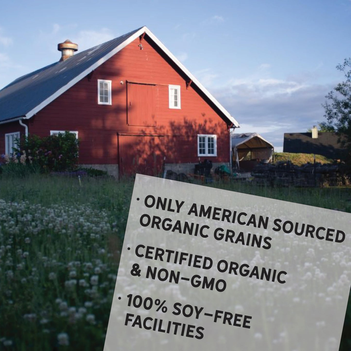 New Country Organics | Pastured Perfect Grower/Broiler Feed for Growing Chickens | Corn-Free and Soy-Free | 19% Protein | Certified Organic and Non-GMO | 40 lbs