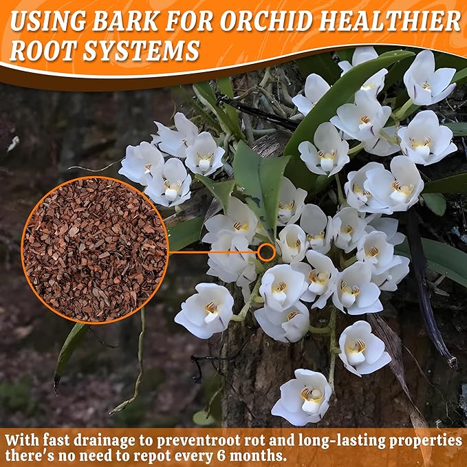 AVALUTION Orchid Potting Bark - 29QT Organic Pine Wood Chips for Plants, All Natural Potting Mix for Houseplant Mulch, Helps Root Health Development