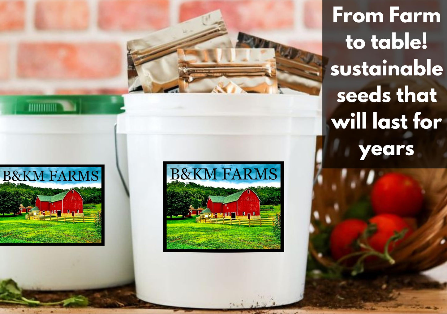 100 Seed Packets, 50 Varieties: Ultimate Seed Vault for Home Food Security & Abundant Gardens by B&KM Farms