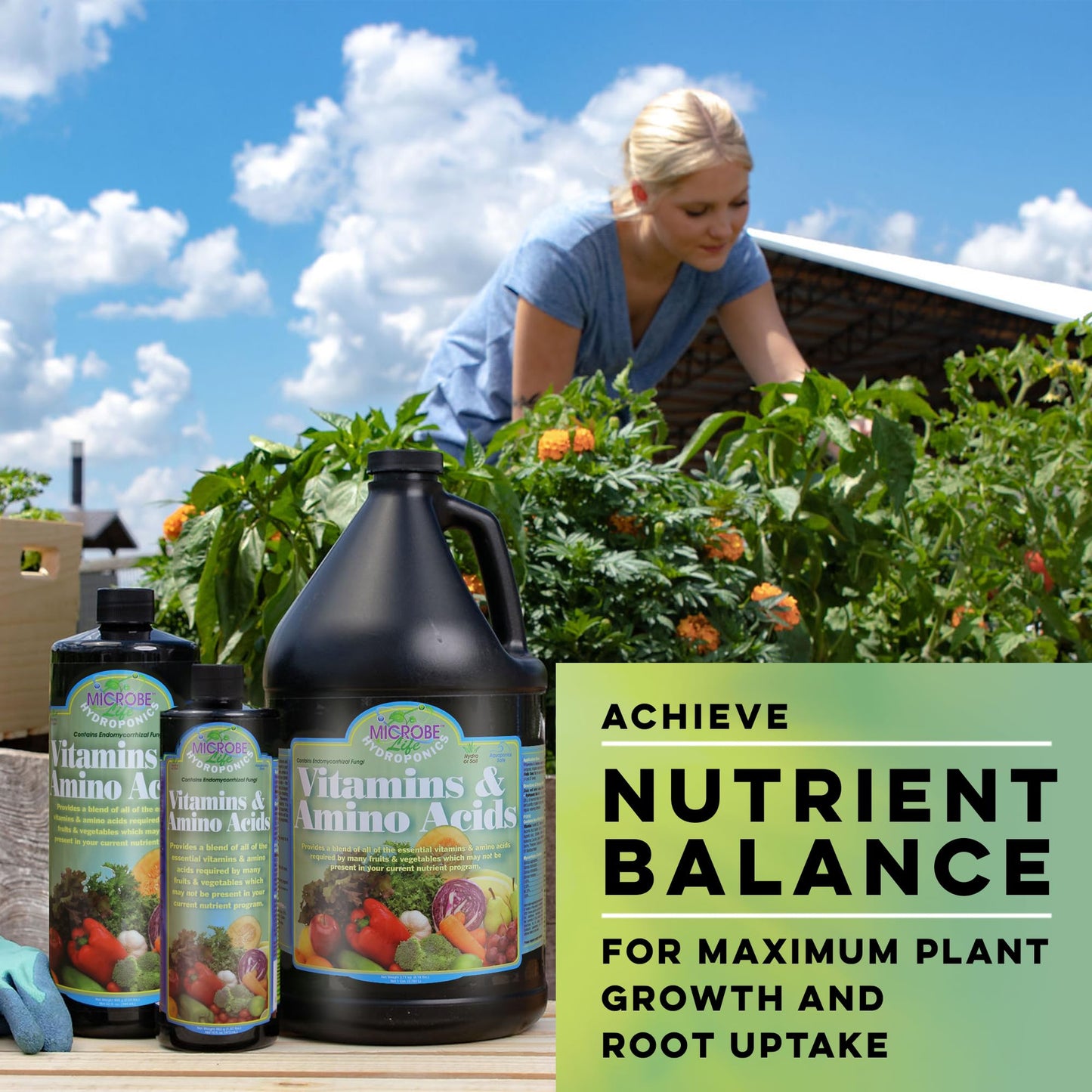 Microbe Life Hydroponics Premium Vitamins & Amino Acids Essential for Maximum Plant Growth and Root Uptake, Use with Any Feeding Systems Including Hydroponics or Soil, 2.5 Gallons