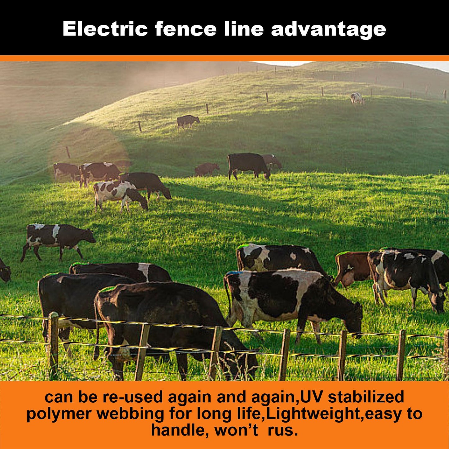 DSZBESTER Upgraded Electric Fence Polywire 3366 feet 1026 Meters,1/8 Diameter Portable Electric Fencing Polywires, 6 Stainless Steel Strands for Reliable Conductivity and Corrosion Resistant