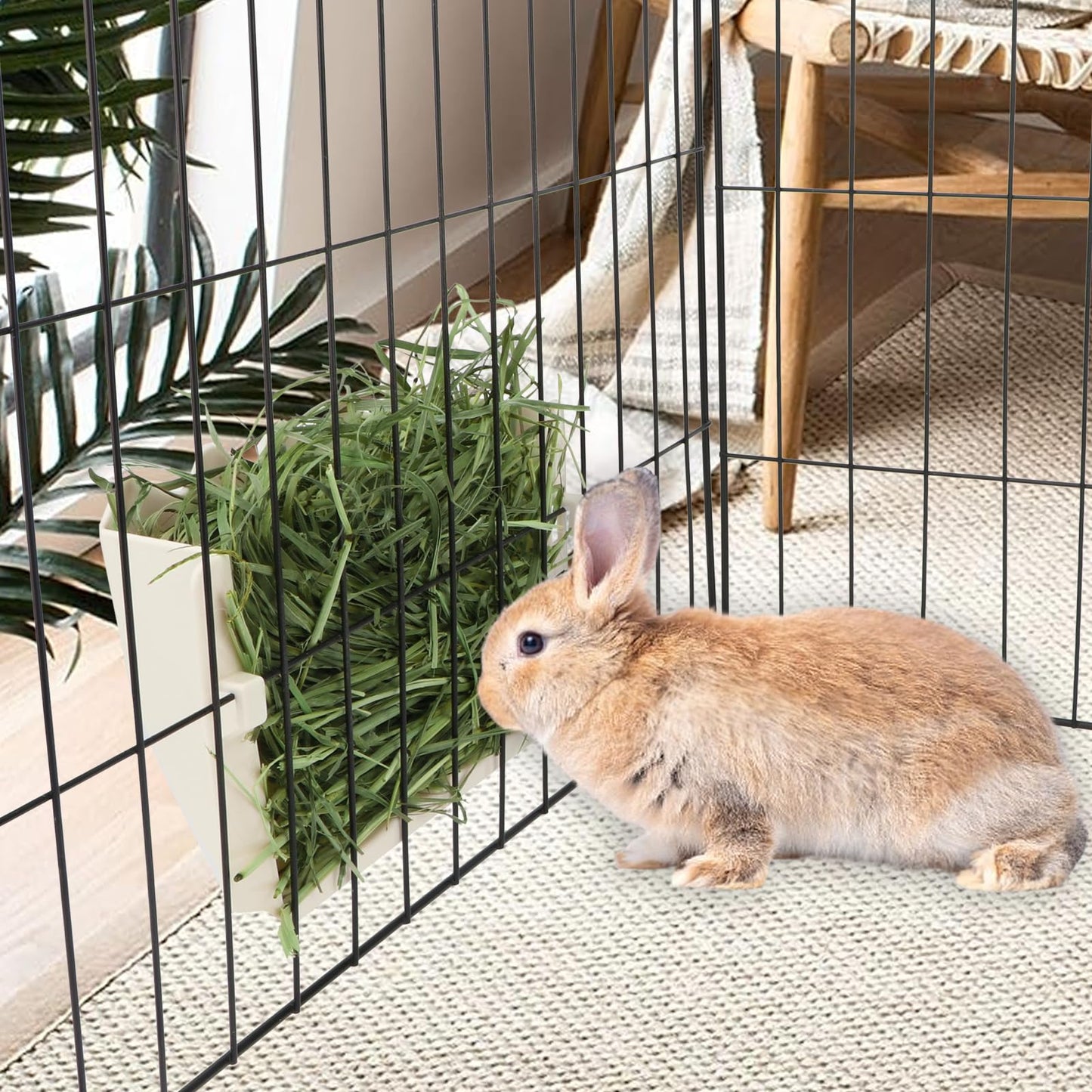 Hypeety Rabbit Hay Feeder Guinea Pig Hay Holder Plastic Automatic Hay Rack Cage Accessories for Bunny Guinea Pig Chinchillas Small Animals (White)
