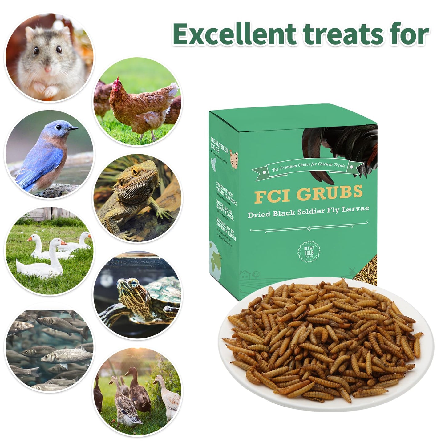 FCI GRUBS High Calcium, Non-GMO, 10LB Dried Black Soldier Fly Larvae for Chickens, 60-100X More Calcium Than Mealworms,Treat for Laying Hen, Ducks, Wild Birds,Turtles