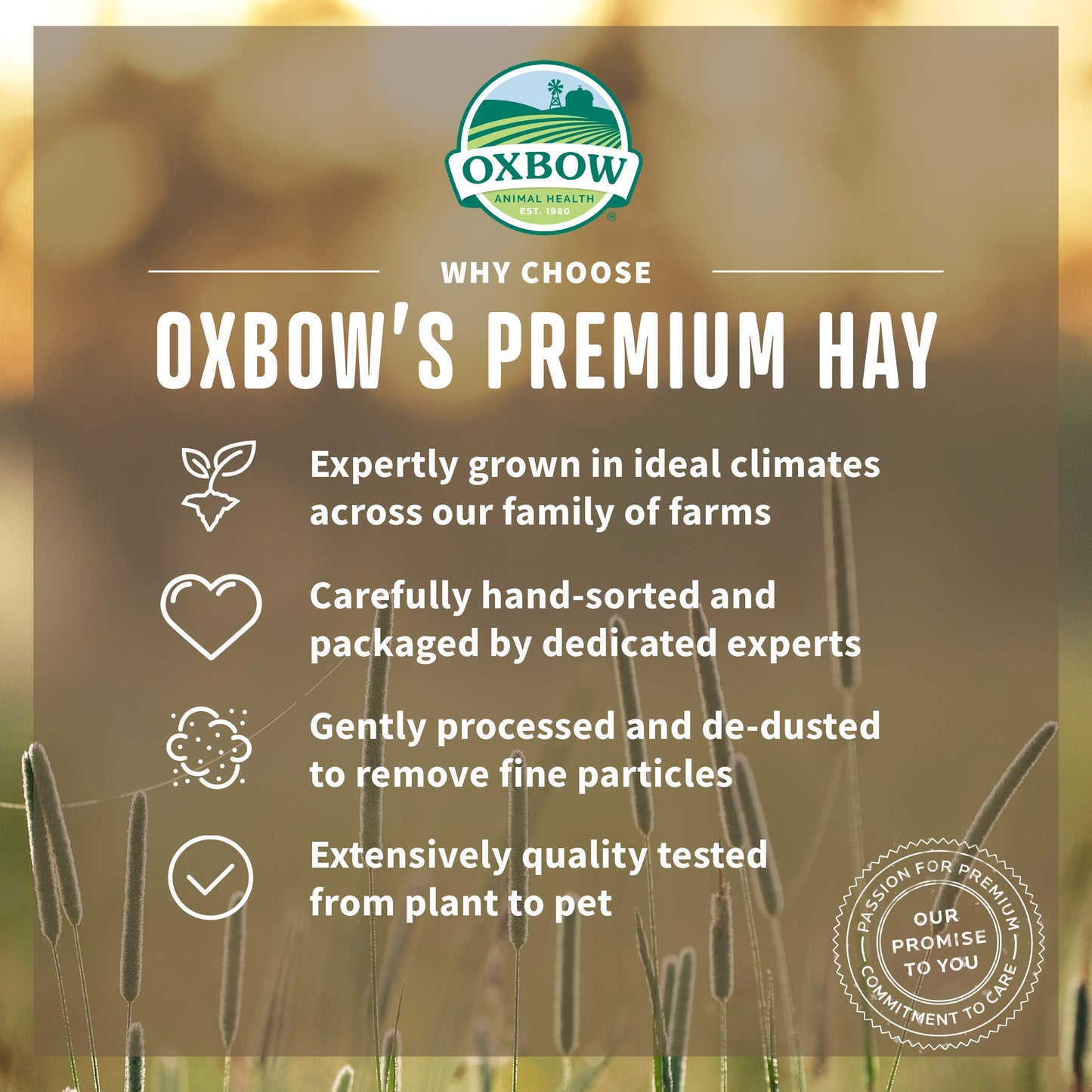 Oxbow Animal Health Organic Meadow Hay, Guinea Pig & Rabbit Hay, Small Pet Bunny Supplies, All Natural Grass for Guinea Pig, Bunny, Chinchilla & Hamster, Rabbit Supplies for Bunnies, 40 oz Bag