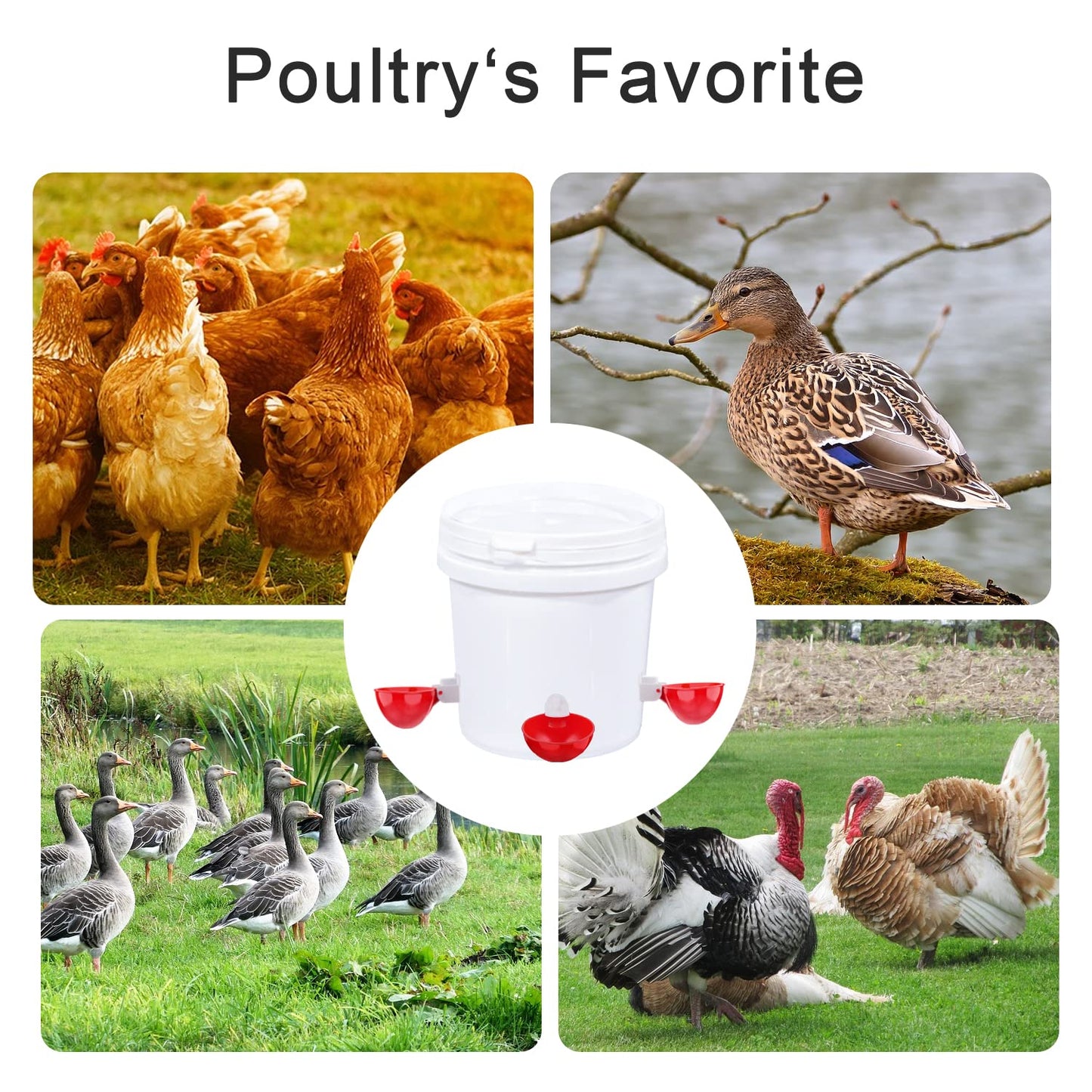 Darcvds Professional Chicken Waterer Cups, 8 Packs Large Chicken Water Feeder, Tee Fittings Poultry Waterer Suitable for Duck, Chicks, Goose, Turkey, Bunny and Bird with Mounting Hole Opener