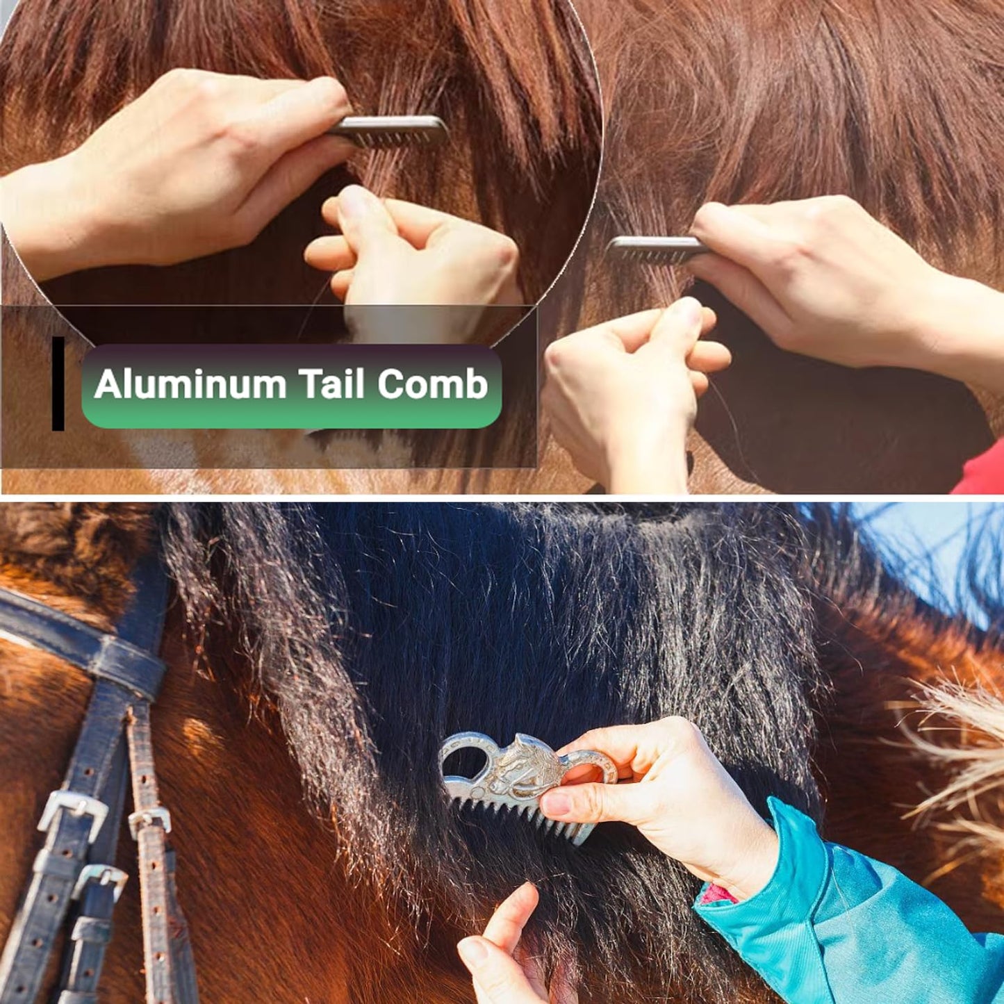 TERPUP Horse Grooming Kit 13 Piece, Horse Brushes for Grooming Supplies Set with Organizer Bag, Horse Brush & Curry Comb for Effective Cleaning, Gift for Horses Riders Beginners