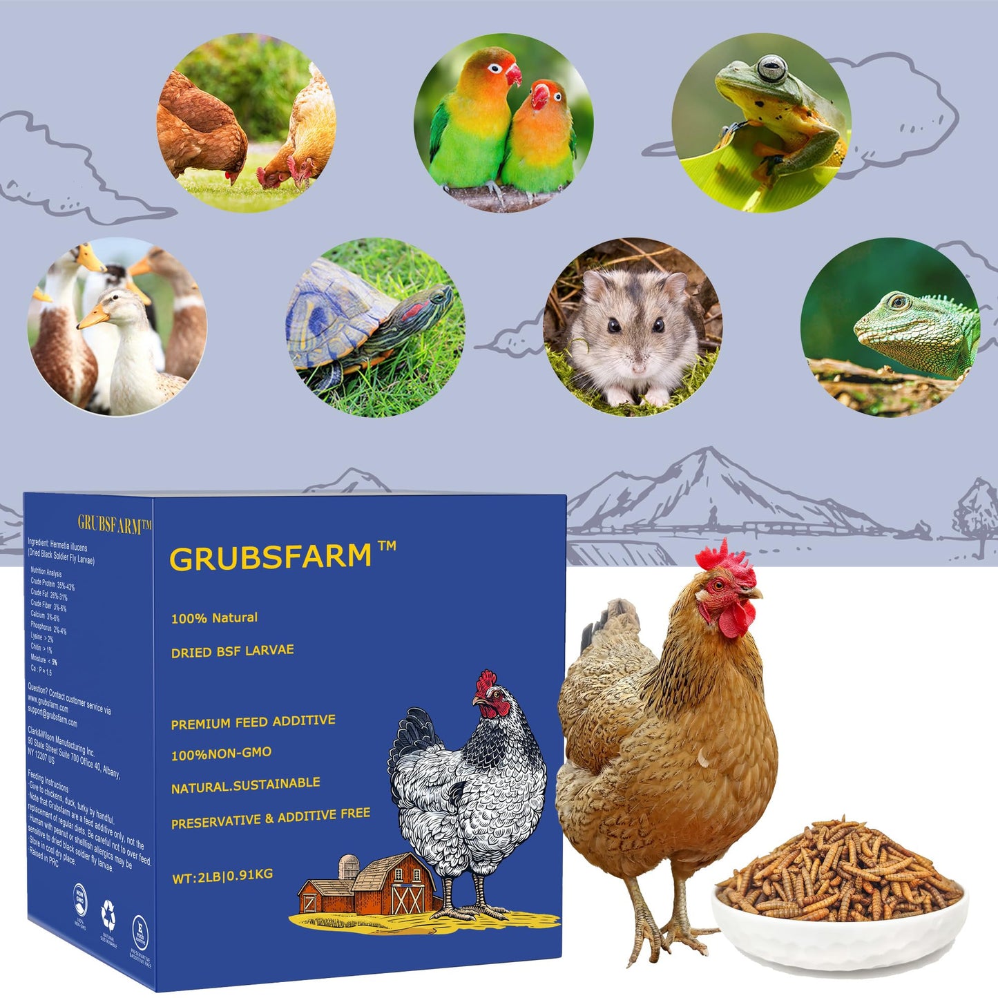GRUBSFARM Premium Chicken Treats 2LB - Non-GMO & 85X More Calcium Than Meal Worms - Molting & Laying Supplement - BSF Larvae Treats for Layer Hens, Ducks Wild Birds
