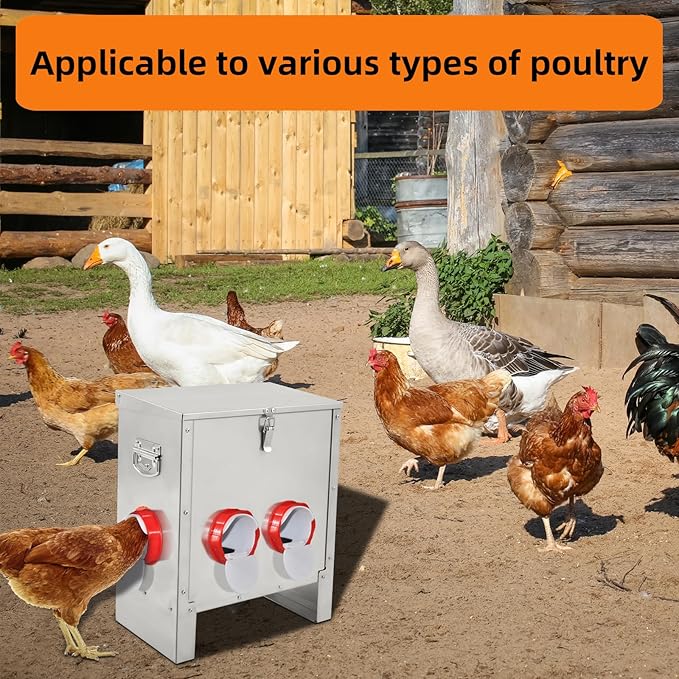 Automatic Poultry Chicken Feeder No Waste Metal Large Capacity 30 lbs Feeders for Chickens Ducks, Geese Bantams Pheasants Coop Weatherproof (6-Port)