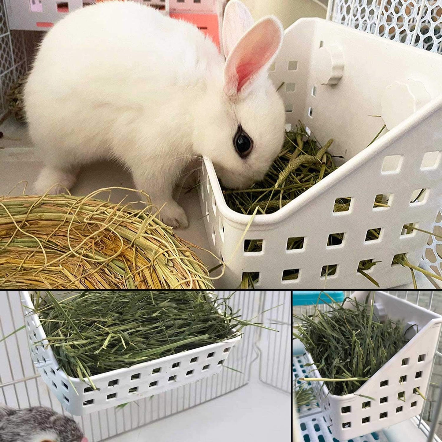 kathson Rabbit Hay Feeder Large Hay Manger Less Wasted Grass Holder Rack Food Dispenser Small Animal Plastic Bowl for Rabbits Bunny Guinea Pigs Rat Chinchilla(White