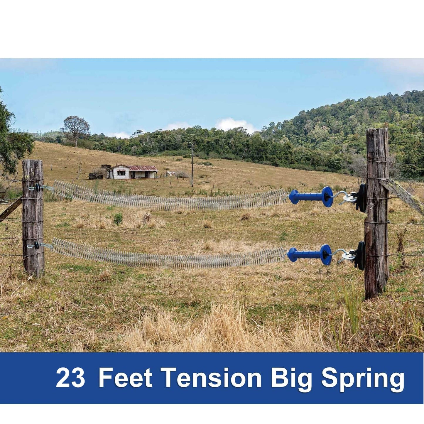5 Pack Electric Fence Gate Big Tension Spring Extended up to 23 feet for Electric Fence Gate Livestock Fence Agricultural Fencing and Pasture