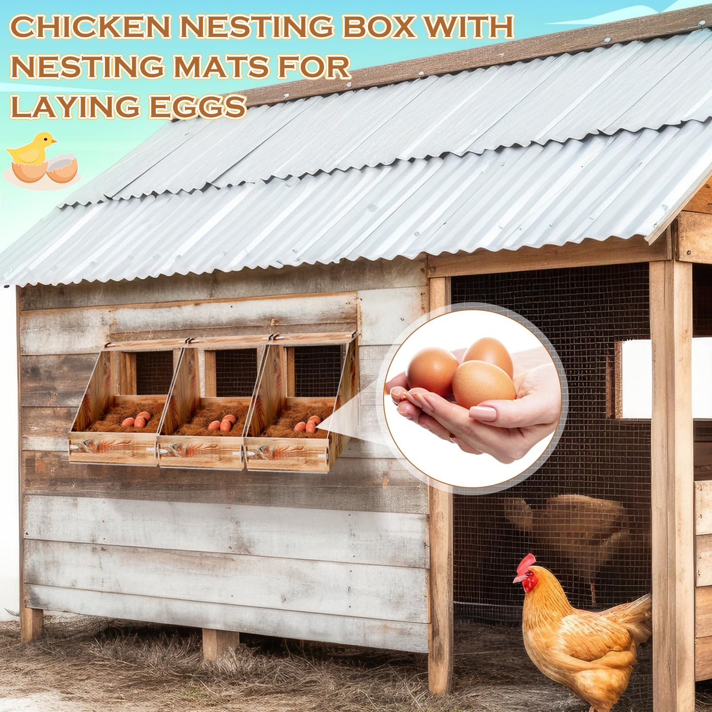 Teenyyou Chicken Nesting Box with 3 Pads for Laying Eggs Plastic Hen Nest Box Wooden Surface Chicken Coop Laying Boxes for Hen Duck Poultry