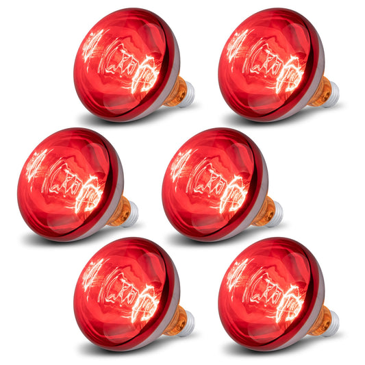 Wesome Lighting 6 Pack 250W Heat Lamp Bulbs for Chicks, R40 Brooder Heat Lamp for Chickens, Infrared Reflector Heating Bulbs, Incandescent Heat for Pet, Light Therapy, Bathroom, Food