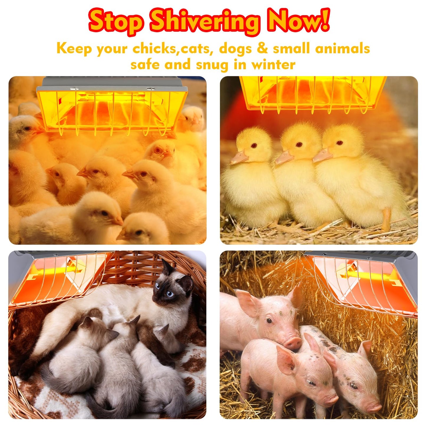 Jaenmsa 250W Brooder Heater for Chicks,Chicken Coop Brooder Heating Lamp Warmer 2 Pack with 2Pcs Infrared Heat Bulbs,2 Adjustable Temp(250W/175w) & Hight for Poultry Coop and Small Pets