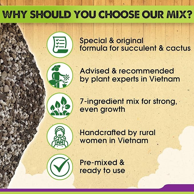 DUSPRO Succulents Soil Potting Mix – 7 in 1 Ingredients Well-Draining, Nutrient-Rich Cactus Potting Soil for Succulents and Cacti, Indoor & Outdoor Use, Ready to Use, Supports Healthy Root Growth, 8QT