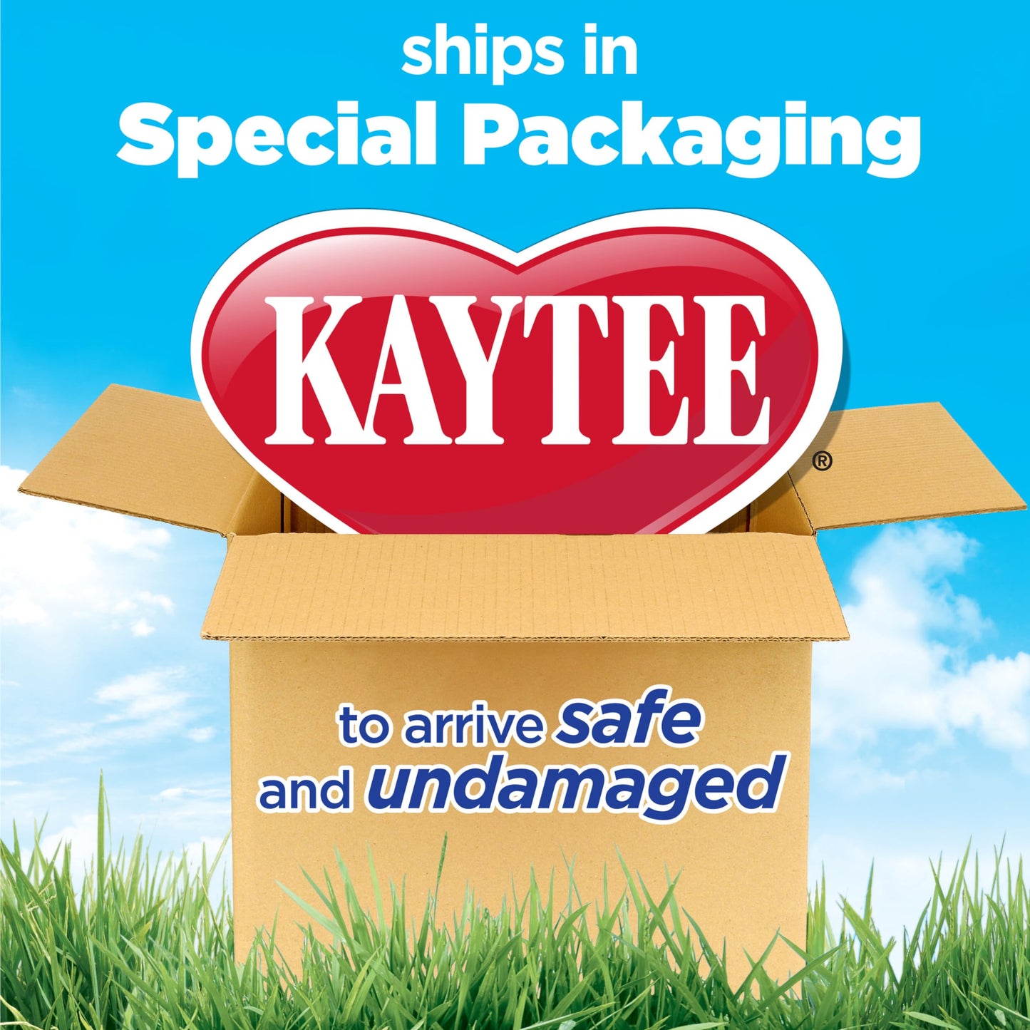 Kaytee First Cut Timothy Hay, High Fiber, Grown Specifically for Small Animals, Rabbits, Guinea Pigs, Chinchillas, 6.5 Pounds