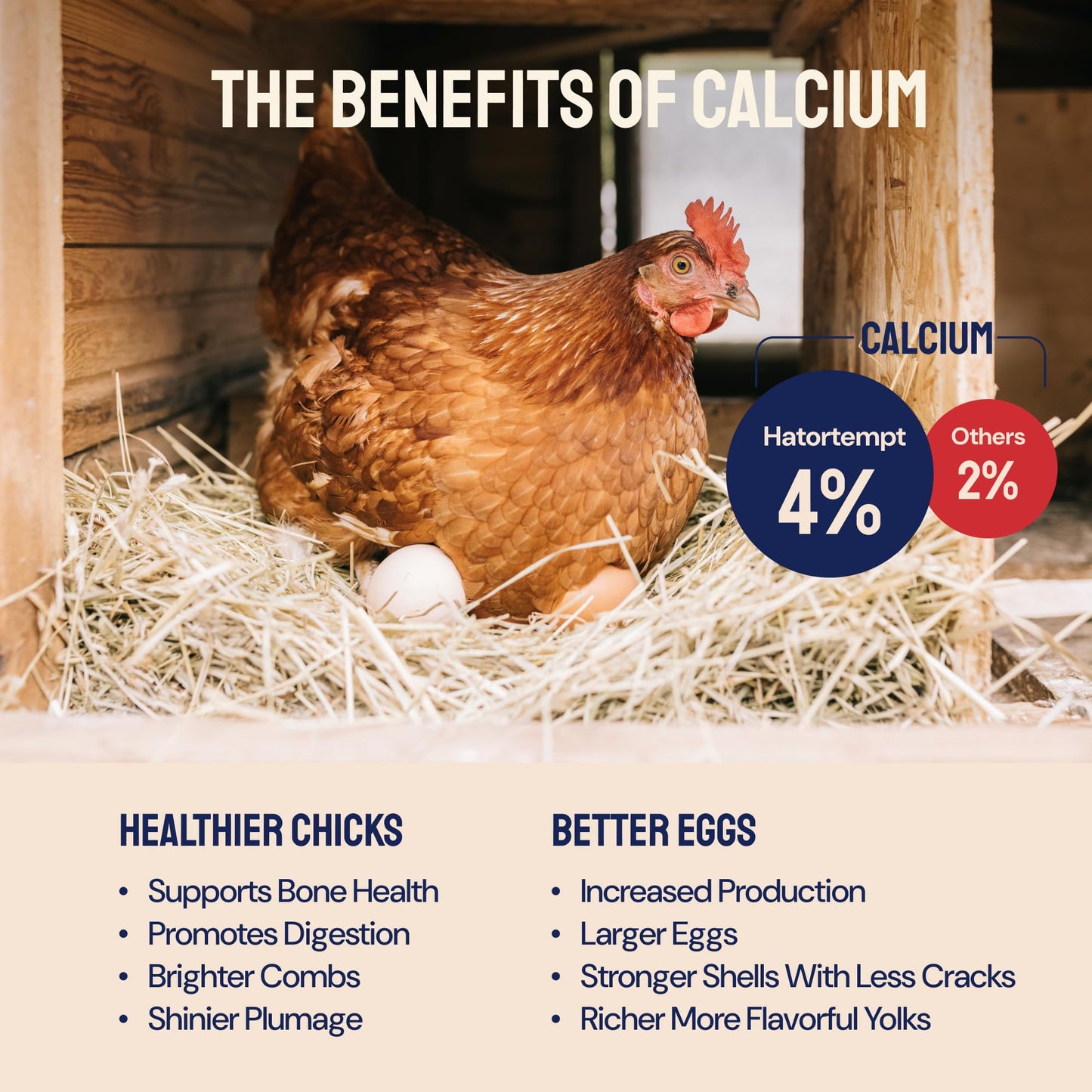 Hatortempt Black Soldier Fly Larvae for Chickens - 5 lb Pack of 1 - Protein Boost & High Protein Chicken Feed - 4% Calcium Treats & Reptile Calcium - Non-GMO Organic Grubs & Bird Feed