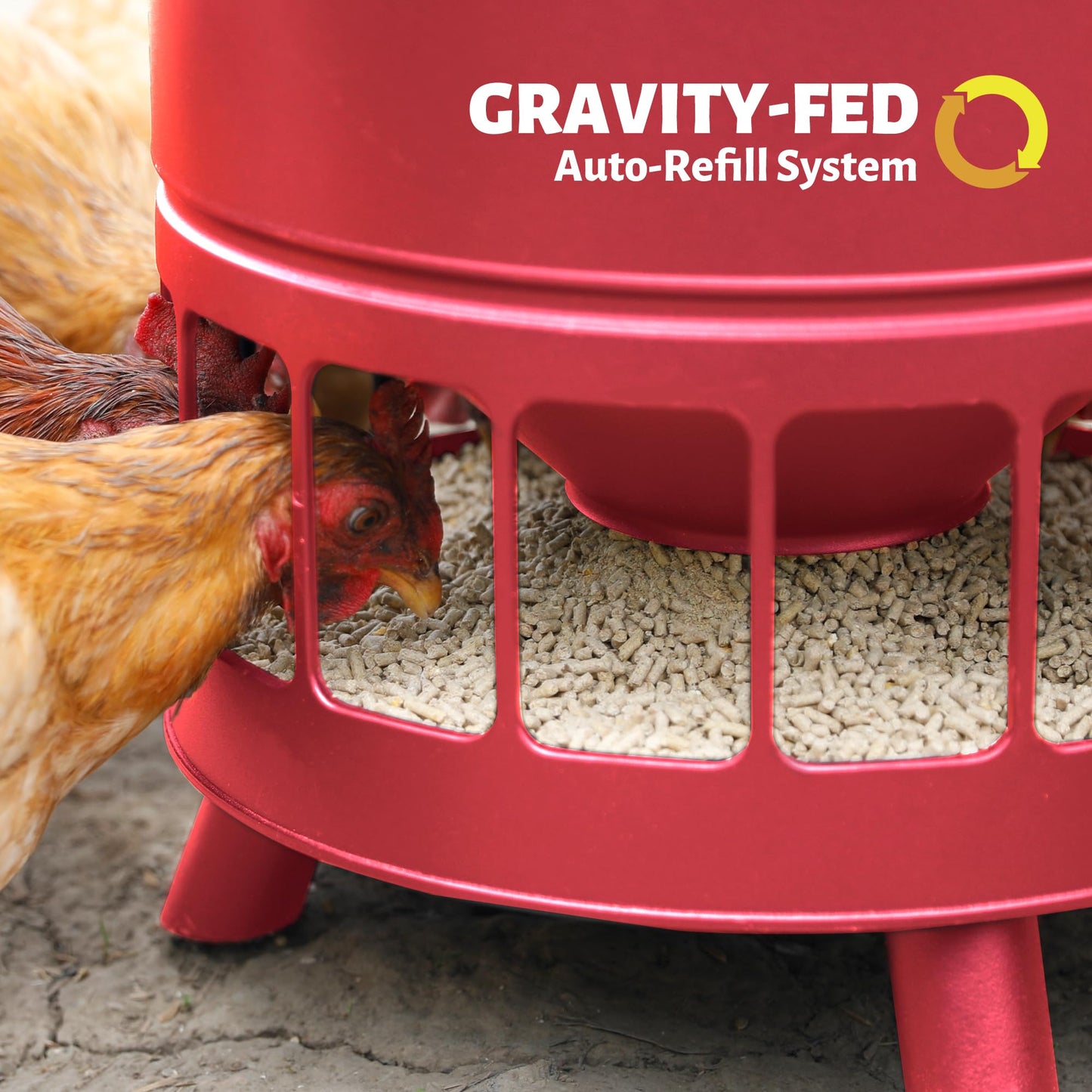 Solution4Patio 65 LB Large Free Standing Chicken Feeding Barrel, Portable Gravity Chicken Feeder Automatic, Dispenser, 16 Feeding Ports Poultry Feeder, Hen Coop (Red)