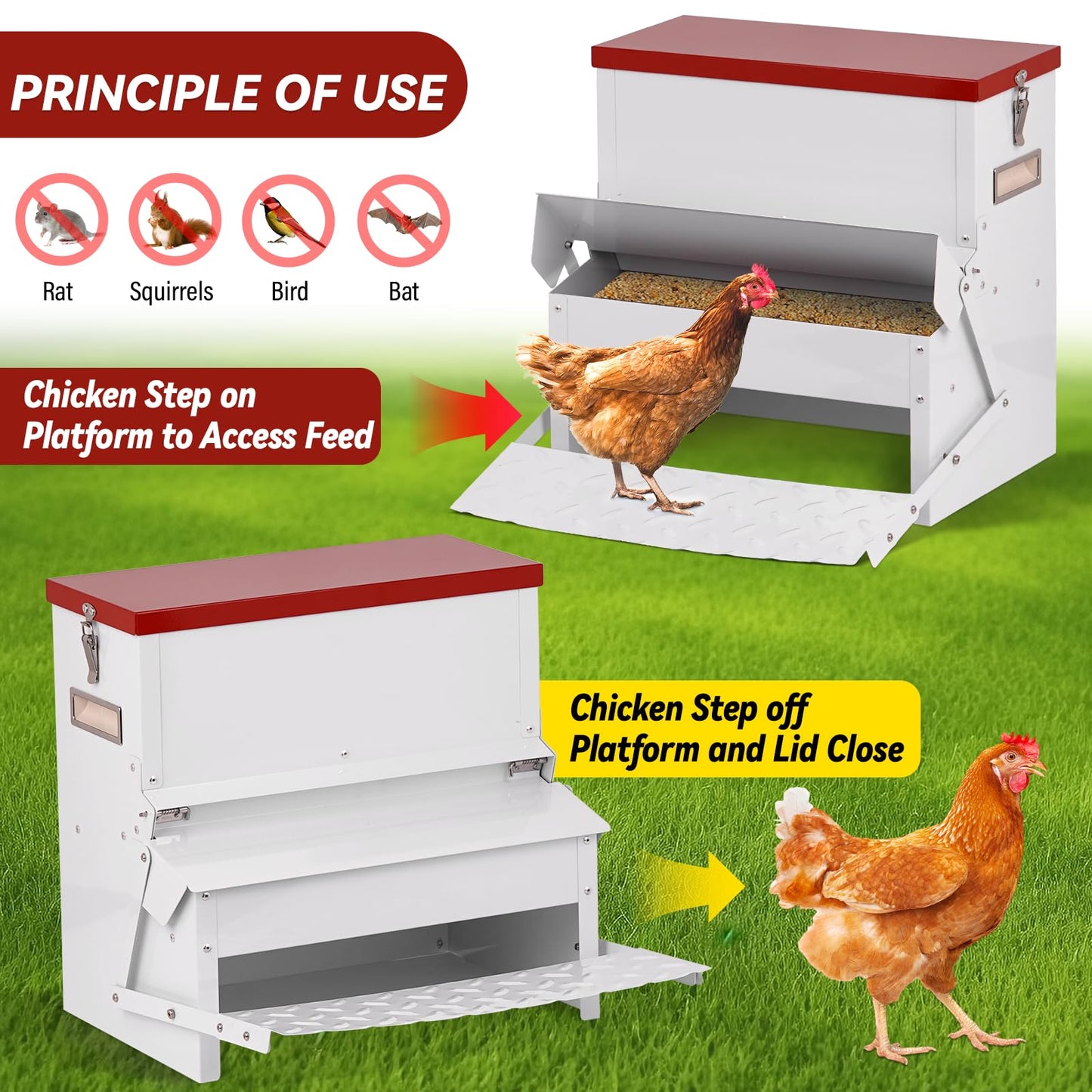 LZWUNYXE Automatic Chicken Feeder No Waste 25lbs Treadle Chicken Feeder Galvanized with Rat Proof Cover and Weatherproof Lid for Fowl,Pheasants,Duck and Roosters