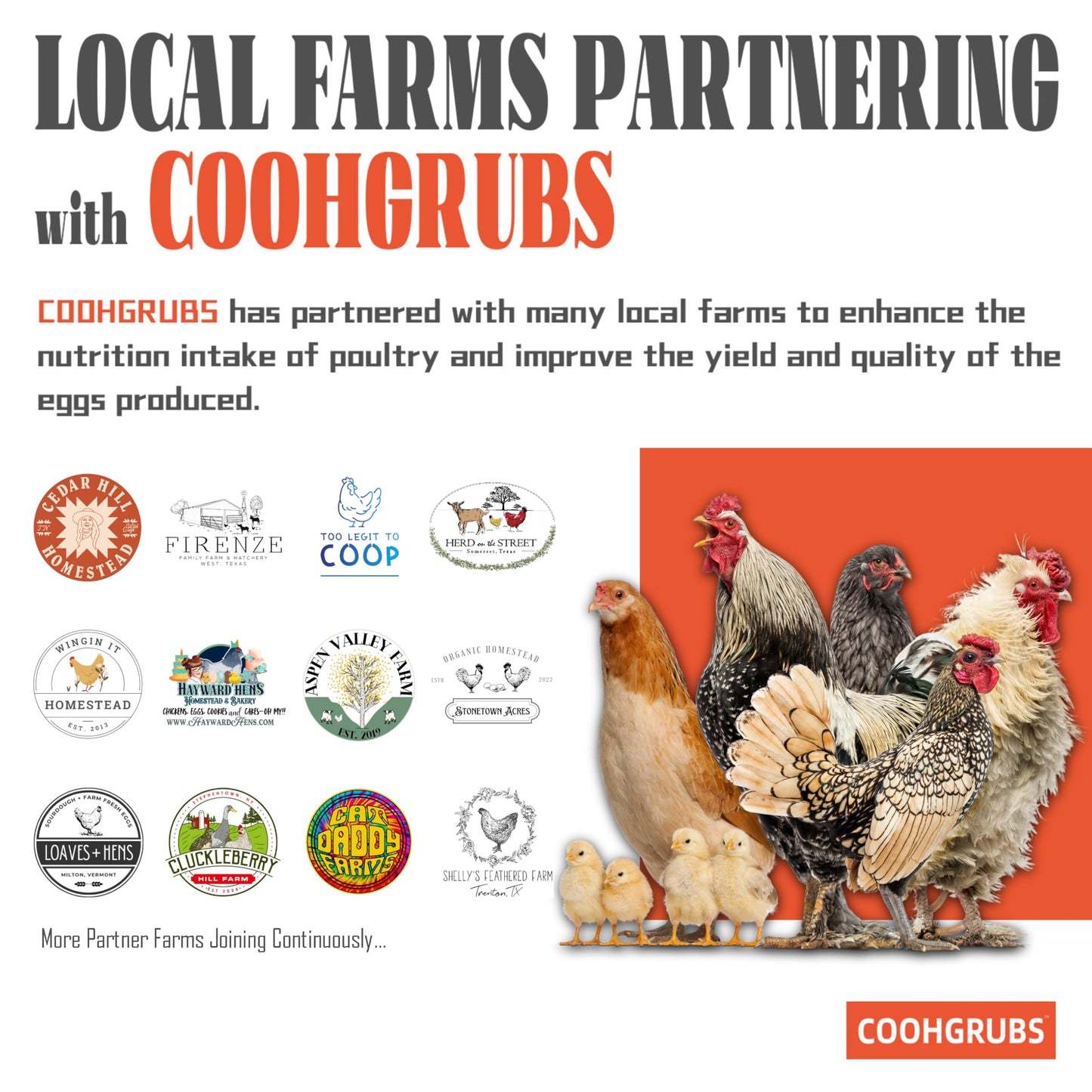 COOHGRUBS Dried Black Soldier Fly Larvae 2 lb – High Protein Chicken Feed with More Calcium Than Mealworms for Chickens, Birds, Reptiles & Small Pets
