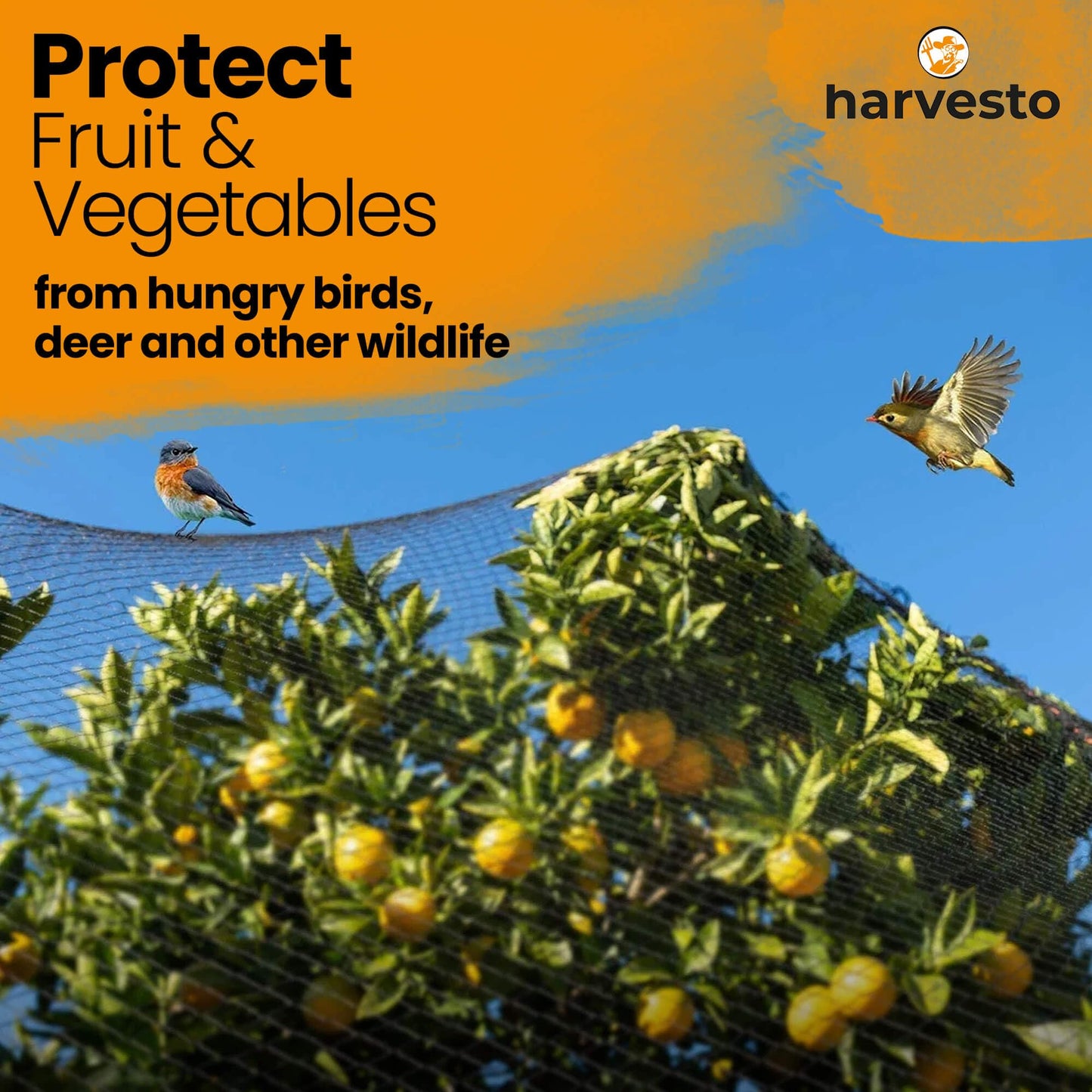 Harvesto Heavy Duty Bird Netting for Chicken Coops & Runs | Tree & Garden Netting Mesh 1-1/2" | Keep Hawks, Birds & Predators Away | Bird Netting for Blueberry Bushes, Vegetables & Fruit (50' x 150')