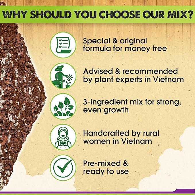 DUSPRO Recycle Money Tree Soil Indoor, Premium Coco Coir Perlite Mix and Pine Bark for Money Tree, Ideal Money Tree Soil for Healthy Growth and Nourishment (4 Quarts)