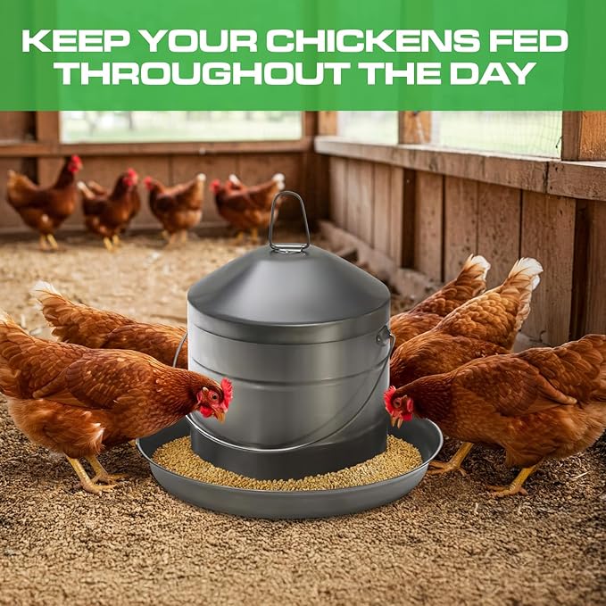 Plexon 17.6 Lb Stainless Steel Hanging Chicken Feeder no Waste Food-Grade Large - Poultry Feeder for Chicken Metal - Heavy Duty Reliable Long-Lasting with Handle
