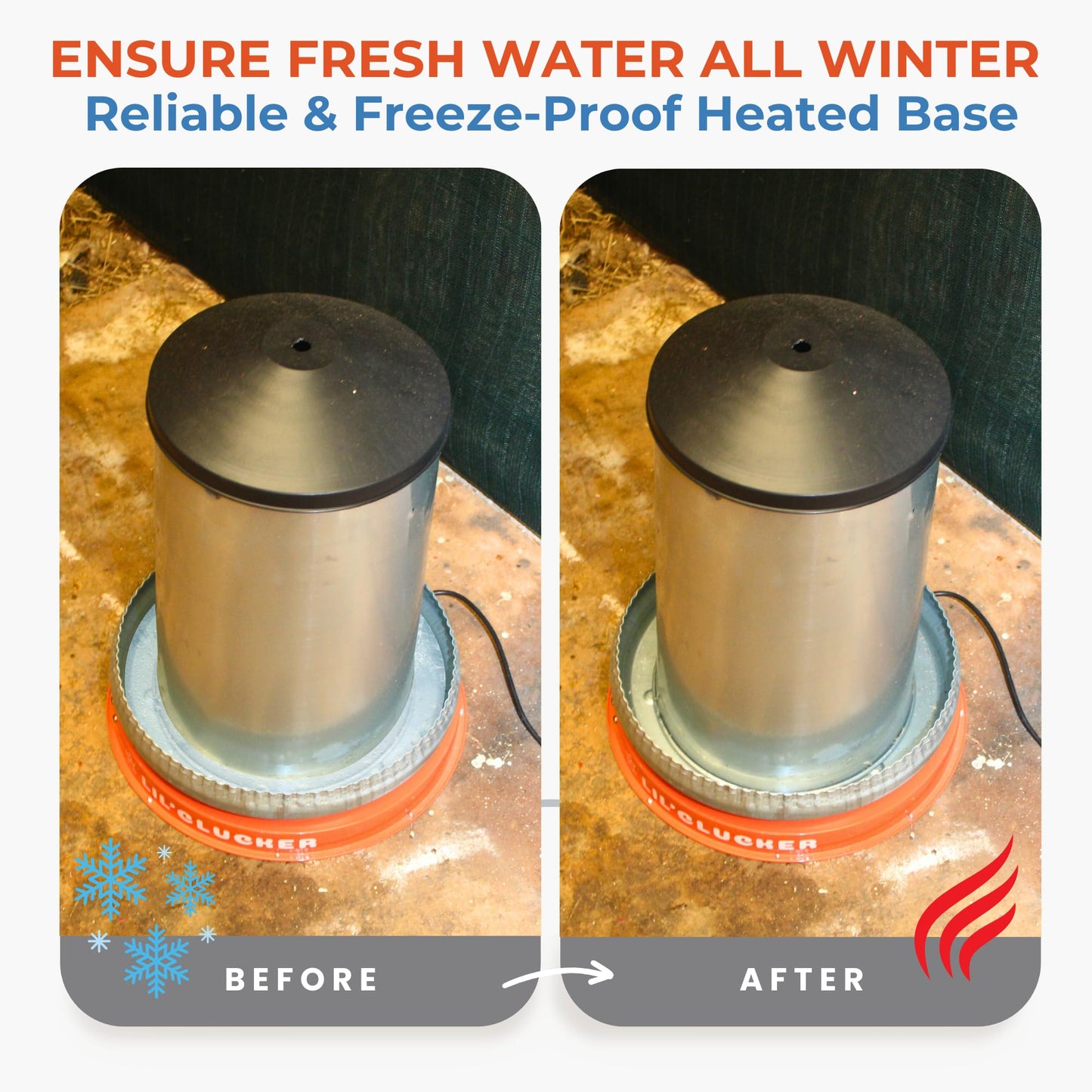 Lil'Clucker Heated Base for Chicken Waterer – Automatic Metal Freeze Proof Heated Chicken Waterer with Heater & LED – Poultry Heated Waterer for Winter (Orange, 11 Inch)