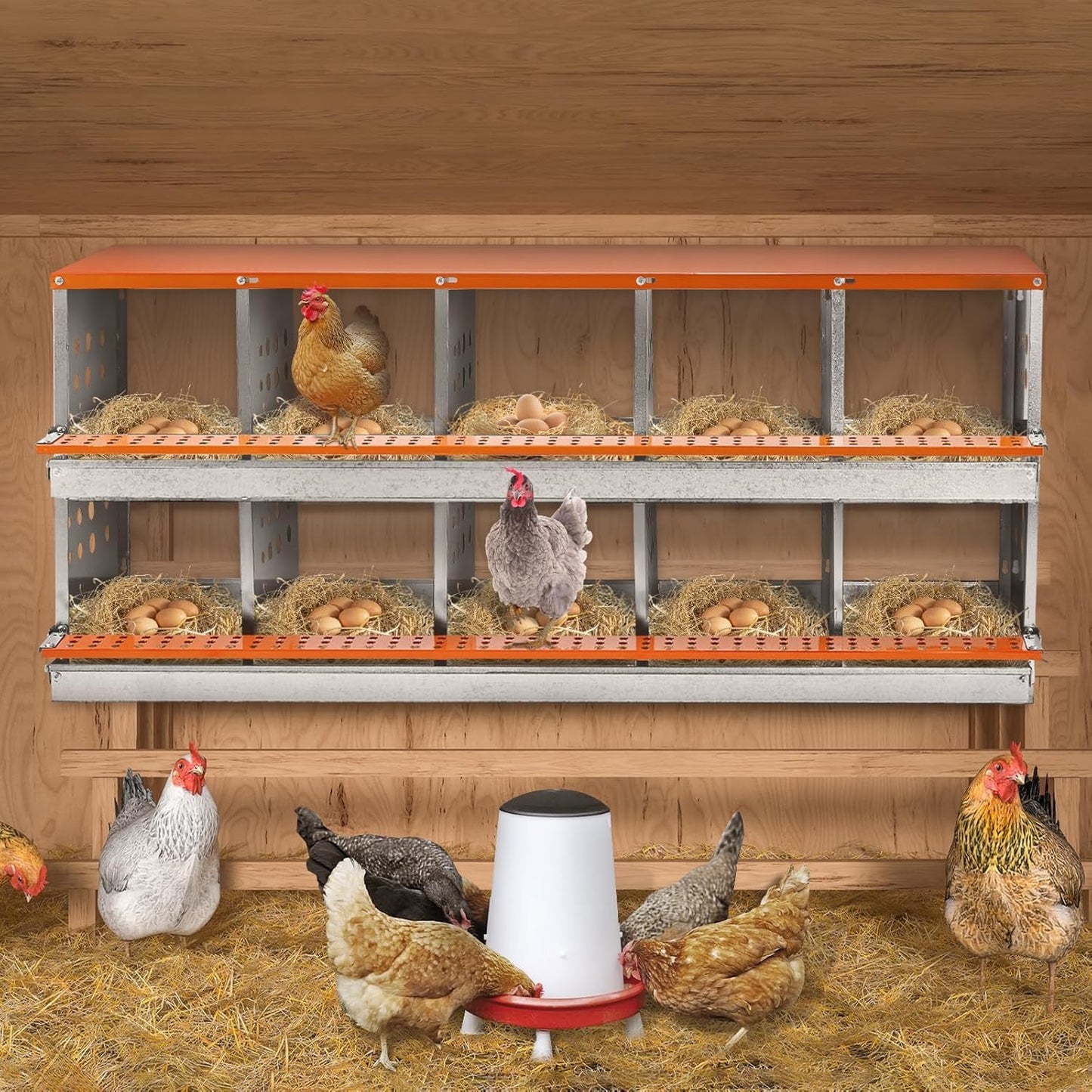 FuzzlyCo Chicken Nesting Box, 10 Compartment Nesting Boxes for Chicken Laying Eggs, Metal Chicken Laying Boxes with Roll Away Egg Collection, Heavy Duty Chicken Coop Nest Box