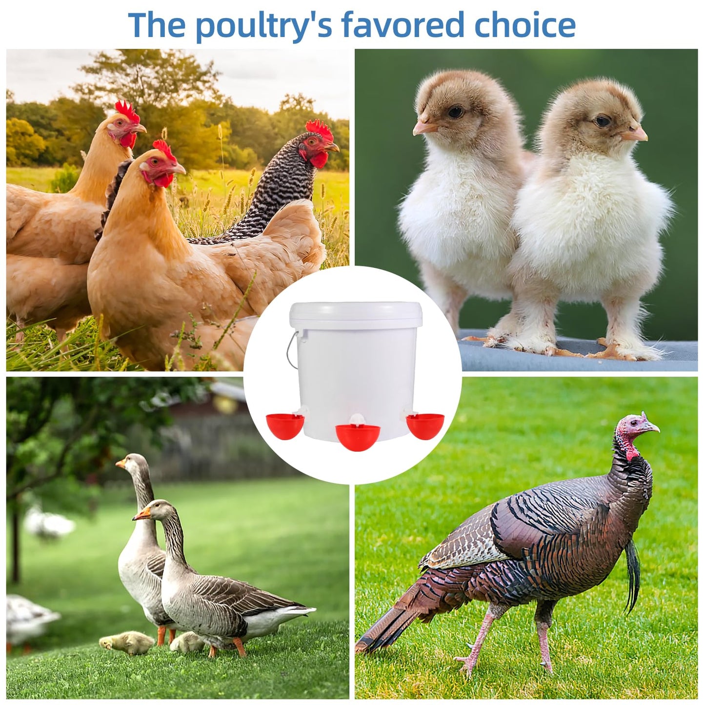 Automatic Chicken Waterer Cups,10 Pack Large Chicken Water Feeder, Universal Tee Fittings Poultry Feeder Cups Suitable for Chicken, Duck, Goose, Turkey with Mounting Hole Opener
