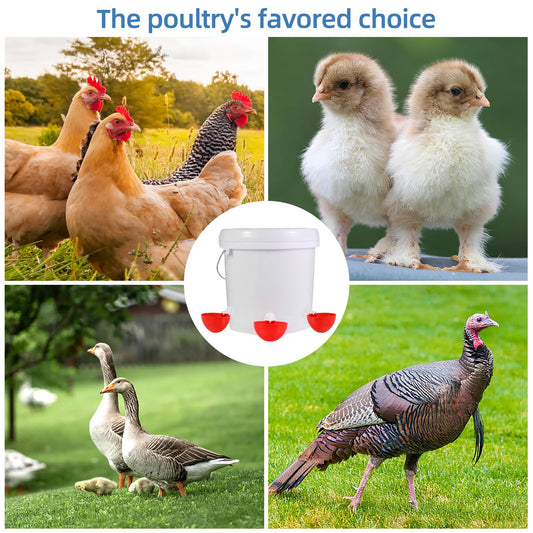 Automatic Chicken Waterer Cups,10 Pack Large Chicken Water Feeder, Universal Tee Fittings Poultry Feeder Cups Suitable for Chicken, Duck, Goose, Turkey with Mounting Hole Opener