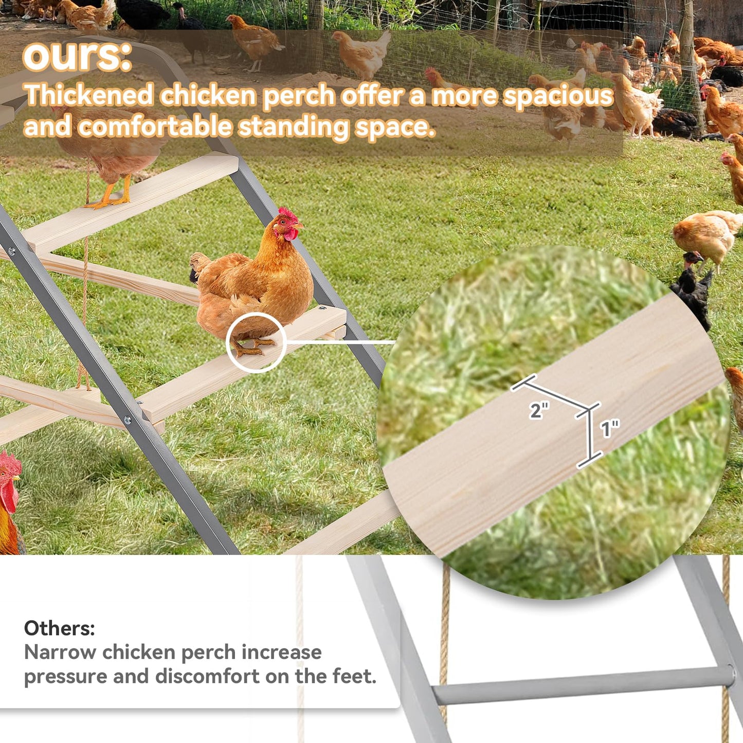 PETSFIT 4 Holes Chicken Nesting Box-All Weather PVC Roof and Chicken Perch