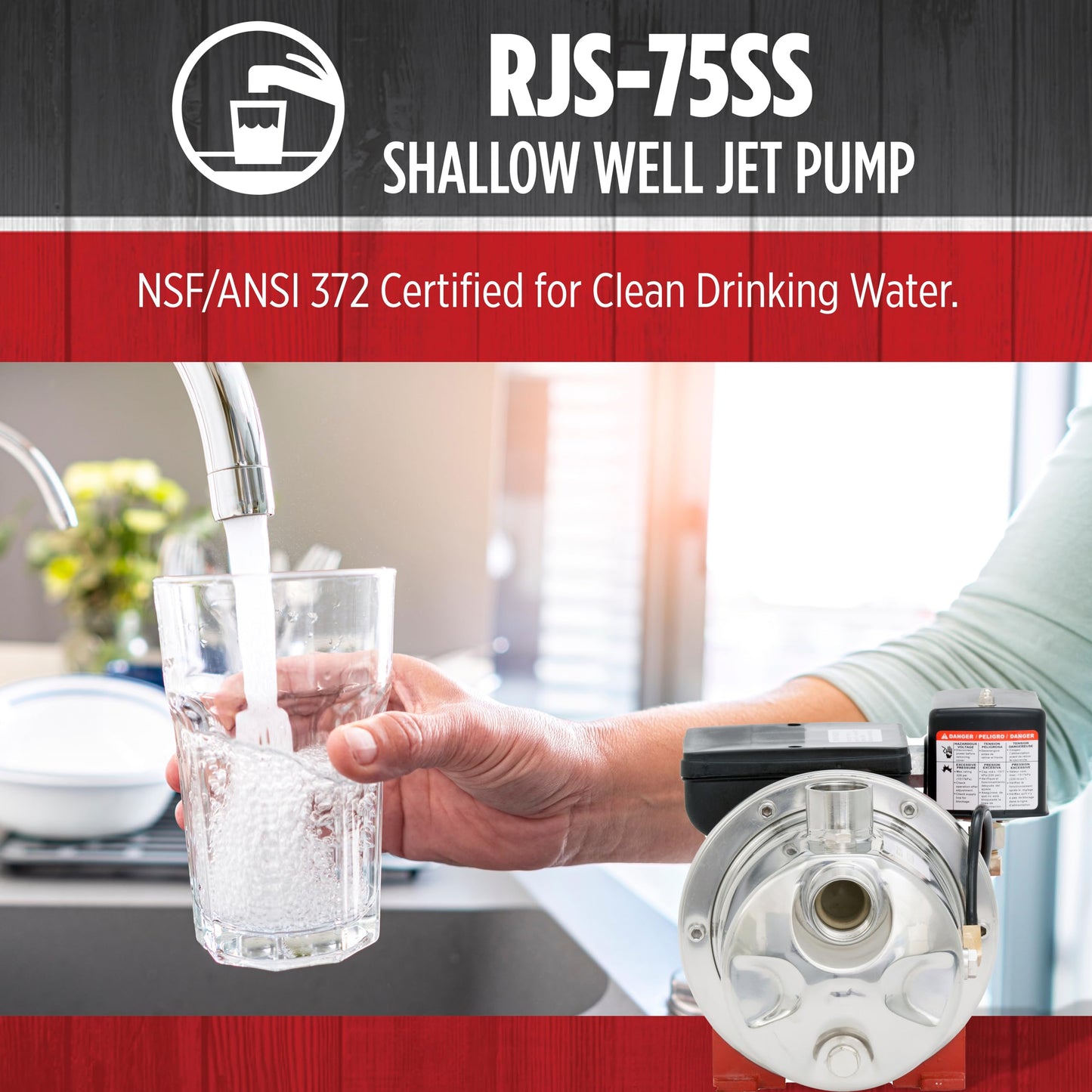 Red Lion RJS-75SS 115/230 Volt, 3/4 HP, 12.8 GPM Stainless Steel Shallow Well Jet Pump, Red, 97080702