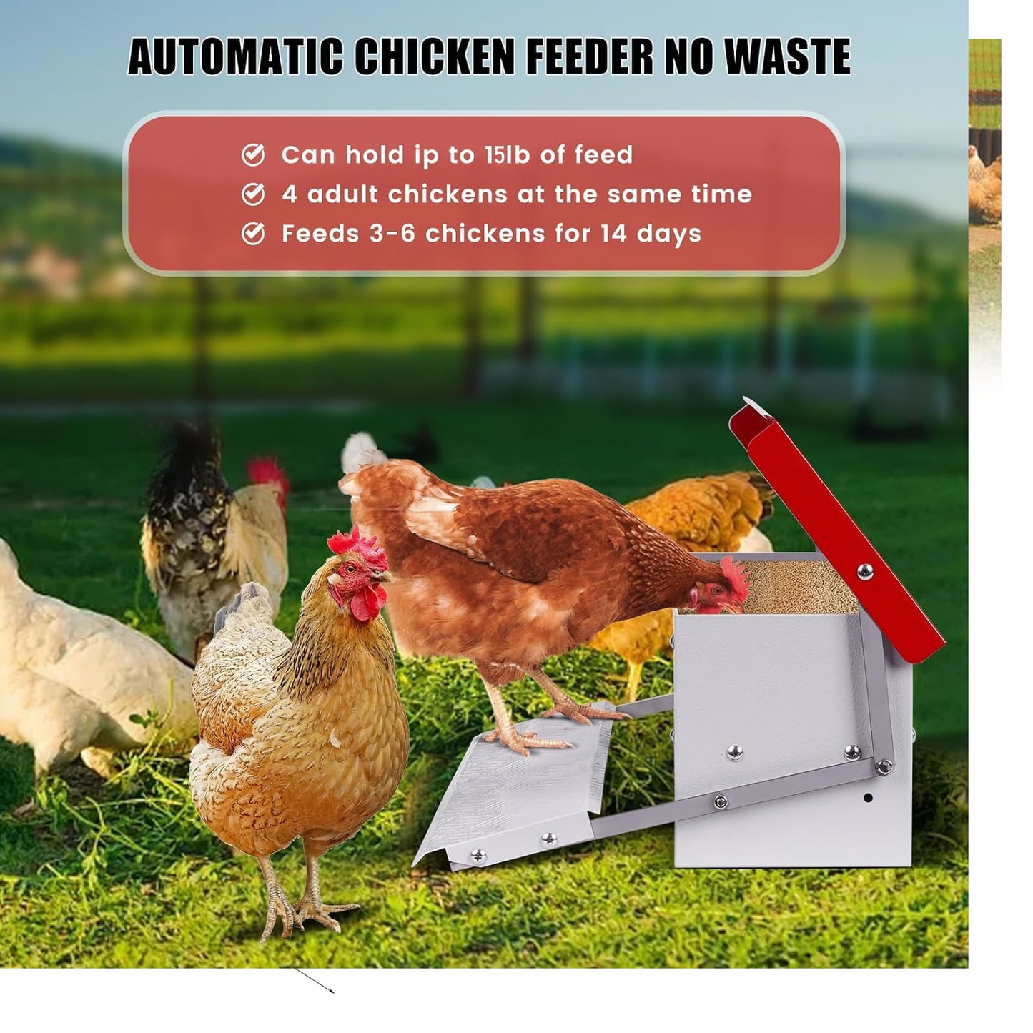PAMUNULA 15lb Automatic Chicken Feeder Rat Proof Large Treadle Poultry Feeder with Rainproof Lid Outdoor Chicken Feeders for Duck Pheasants Roosters Bantams