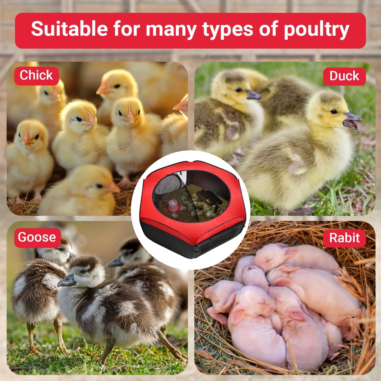 FAMIROSA Brooder Box for Chicks Starter Kit, Pop up Chicken Brooders, Collapsible Chicken Brooder Supplies, Breathable Brooding Box/Pen/Playpen/Pet Cage/Tent for Duck, Quail, Rabbits